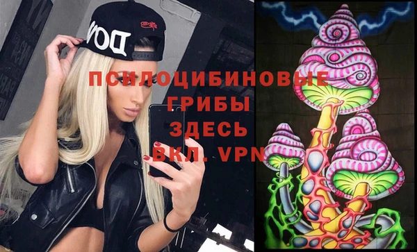 spice Бронницы