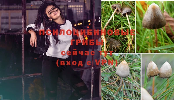 прущая мука Бугульма
