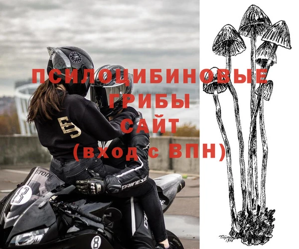 ALPHA PVP Верхний Тагил